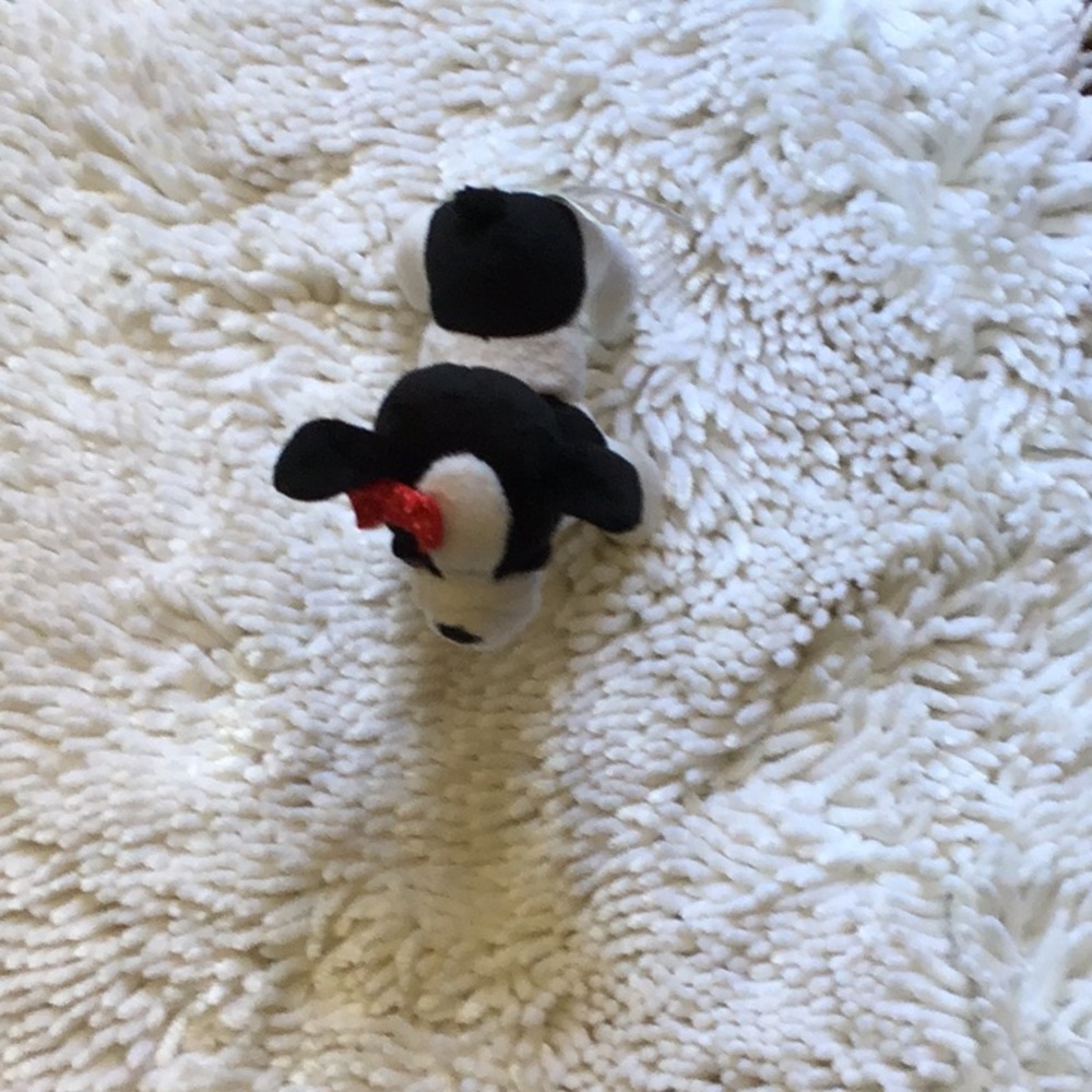 Toy dog